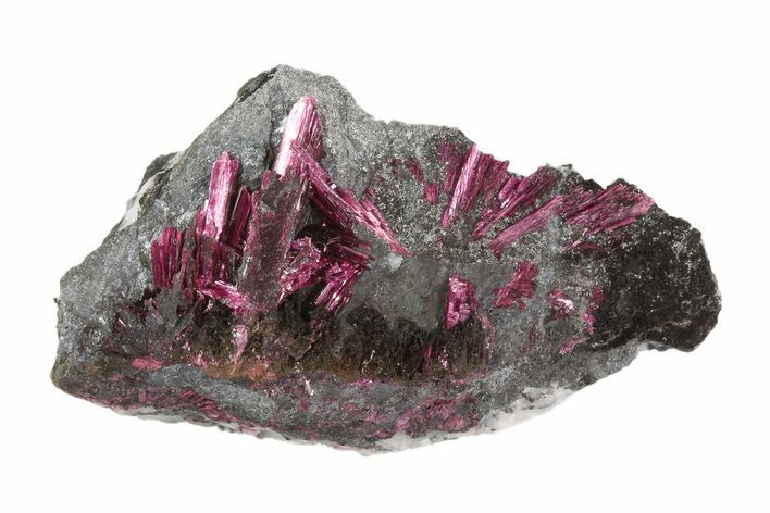 Vibrant, Magenta Erythrite Crystals - Morocco #93601
